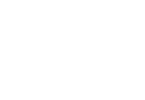 logo exepro.png